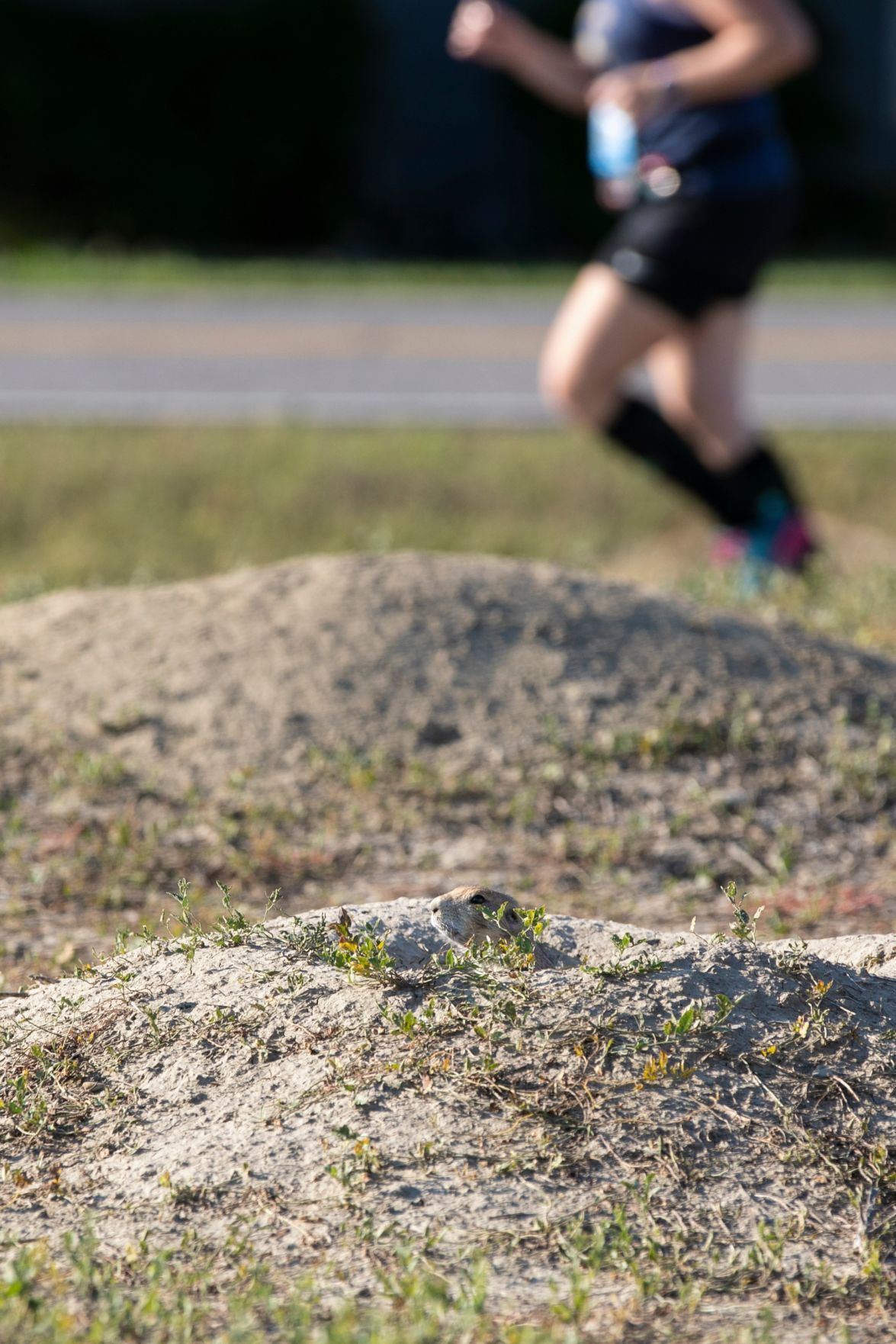 Runners participate in 2019 Montana Marathon